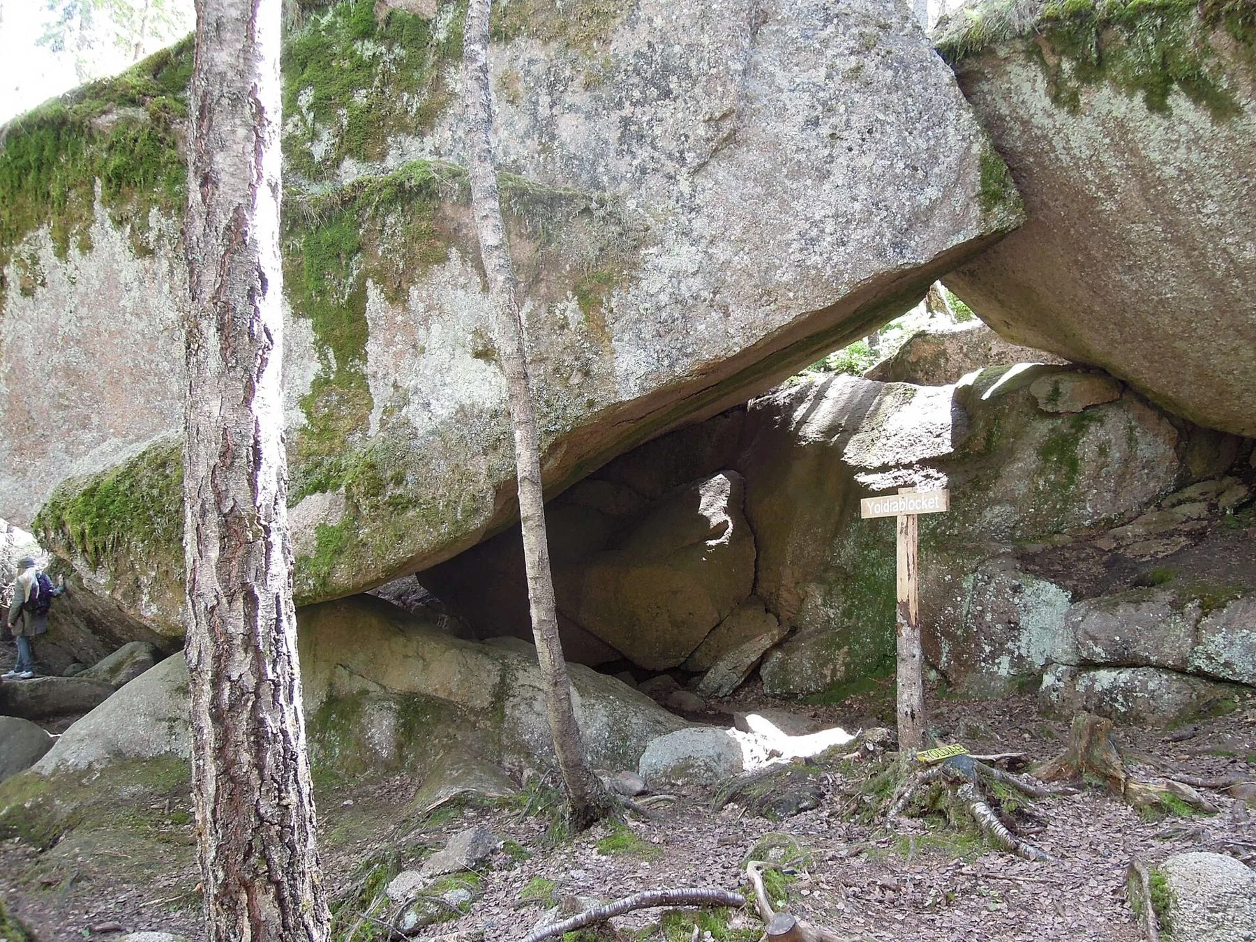 Ett enormt stenblock vilar på andra block och bildar ett lågt valv, med en skylt och en vandrare intill i tallskogen.